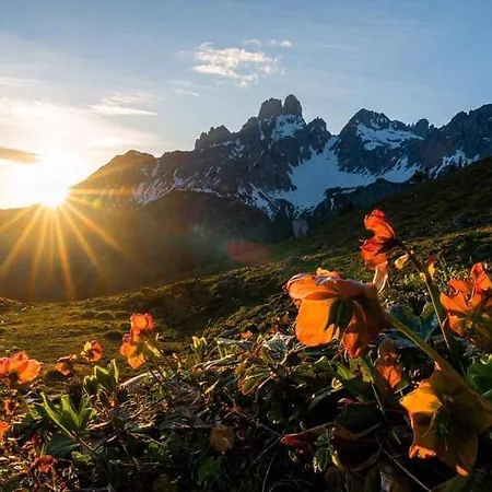 Haus Birkenheim * Filzmoos