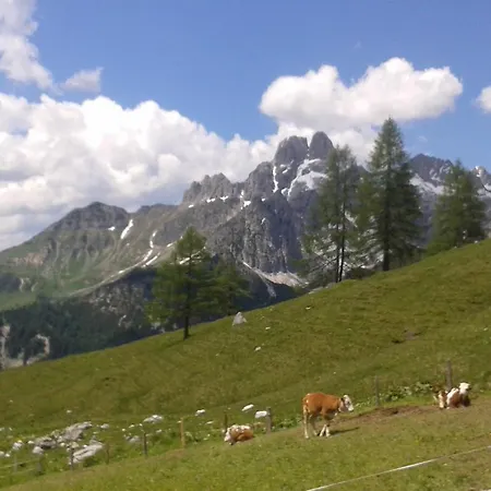 Haus Birkenheim Appartamento *