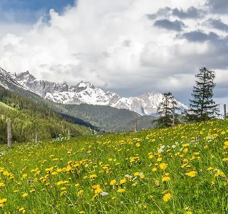 Haus Birkenheim Apartment