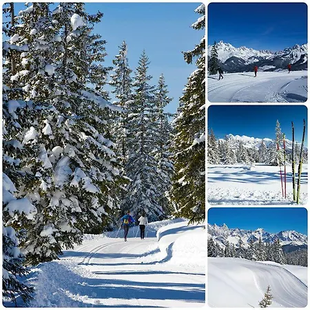 Apartment Haus Birkenheim *