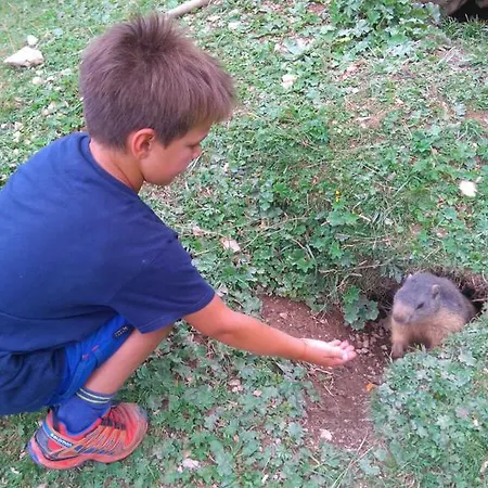 Apartment Haus Birkenheim