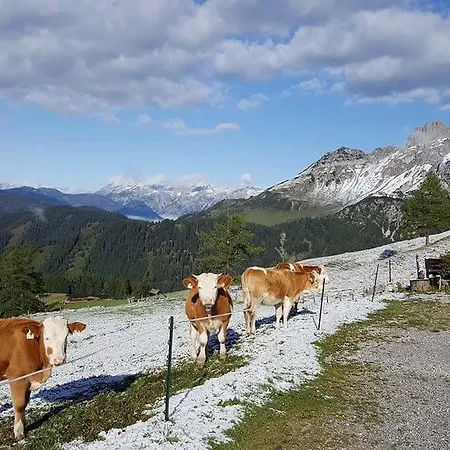 Lägenhet Haus Birkenheim Filzmoos