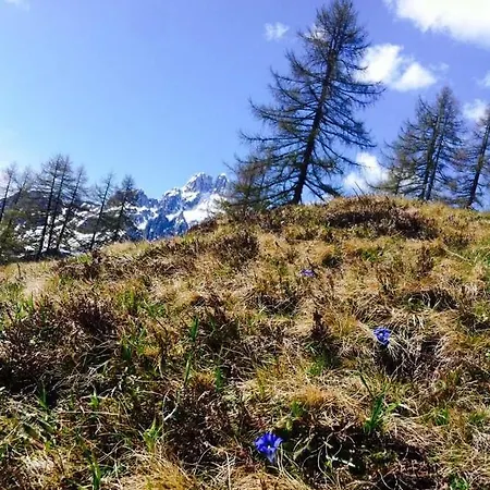 Haus Birkenheim * Filzmoos