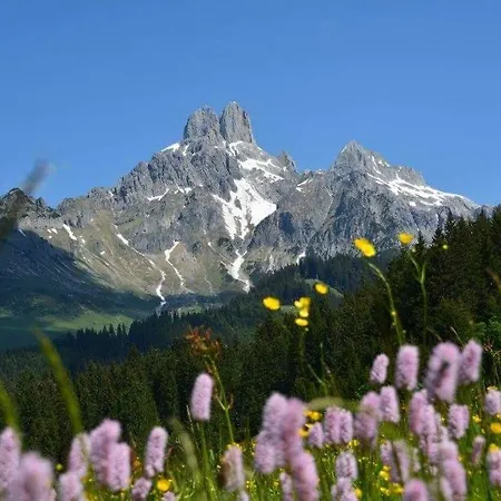 Haus Birkenheim Apartment Filzmoos