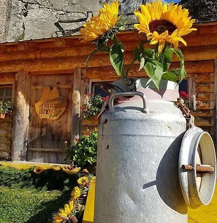 Apartment Haus Birkenheim