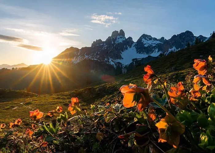 Haus Birkenheim * فيلزموس