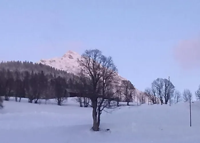 Haus Birkenheim Апартаменты *