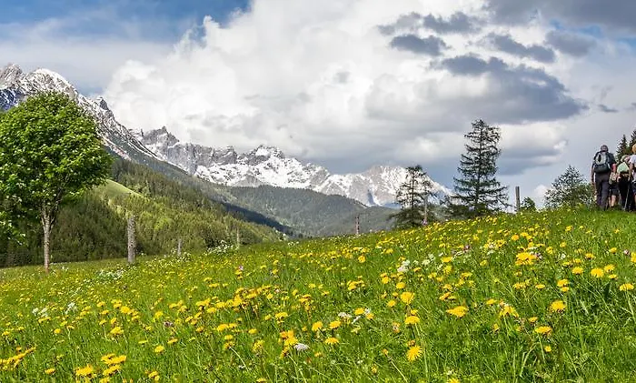 Haus Birkenheim شقة