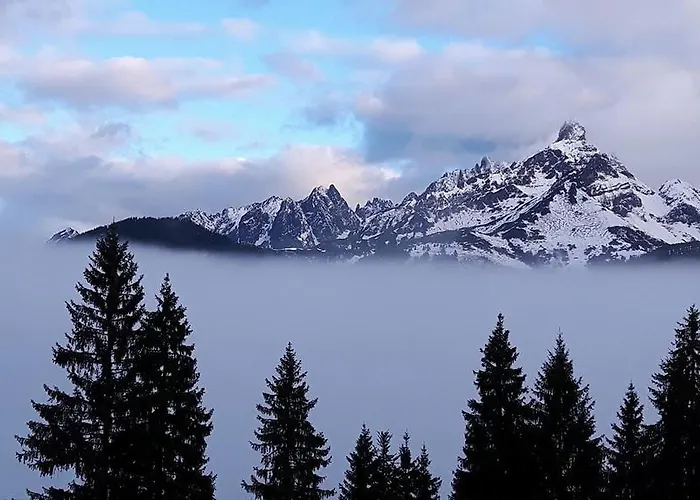 Haus Birkenheim * فيلزموس