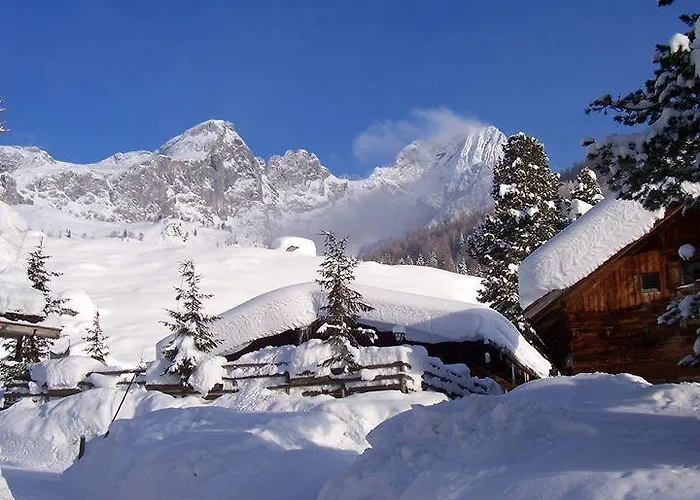 Haus Birkenheim شقة فيلزموس