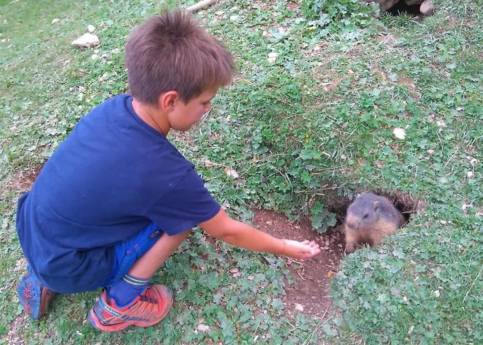 شقة Haus Birkenheim