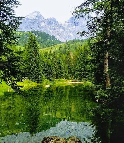 Haus Birkenheim * فيلزموس