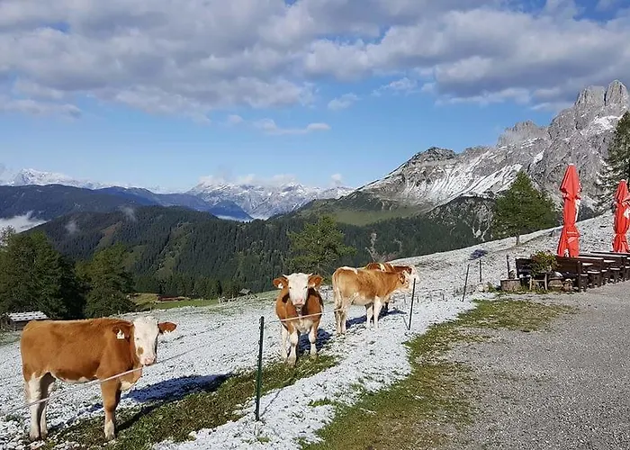 شقة Haus Birkenheim فيلزموس