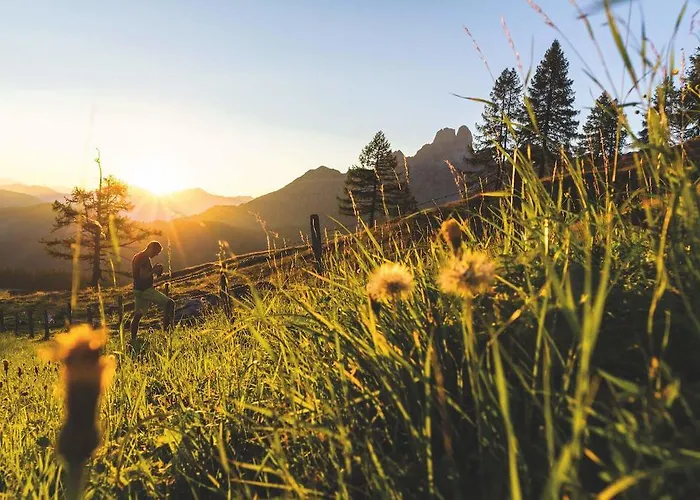 Апартаменты Haus Birkenheim *