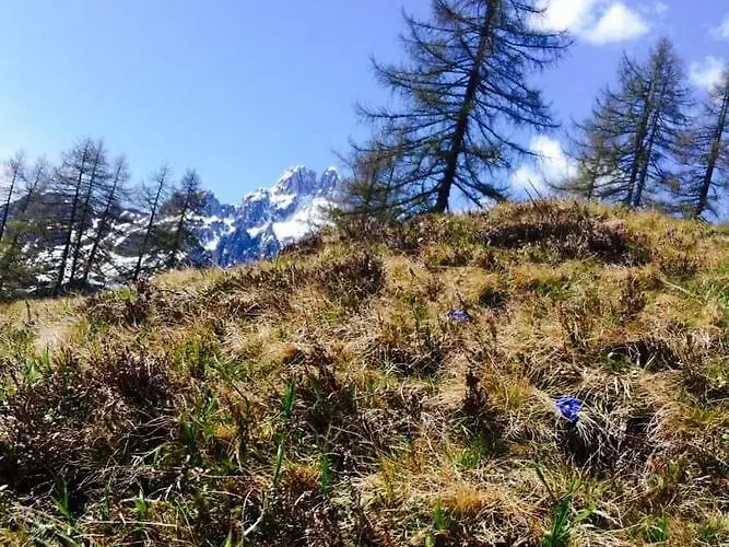 Haus Birkenheim * فيلزموس