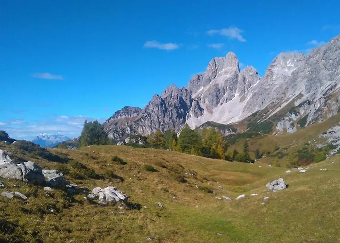 Haus Birkenheim * فيلزموس