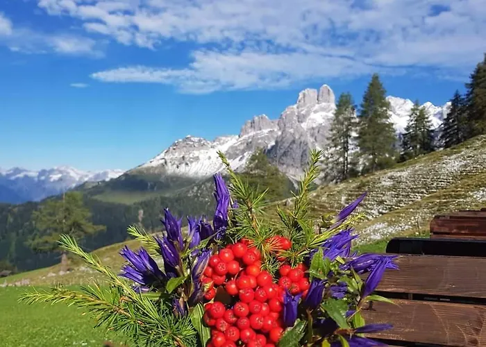 Haus Birkenheim Апартаменты Фильцмос