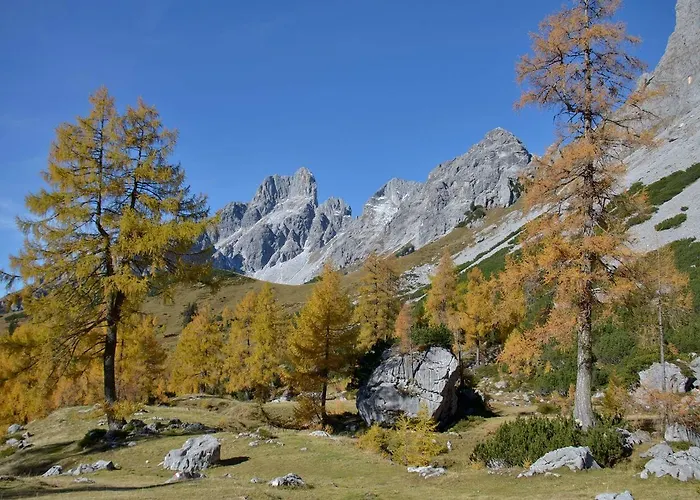 Haus Birkenheim شقة فيلزموس