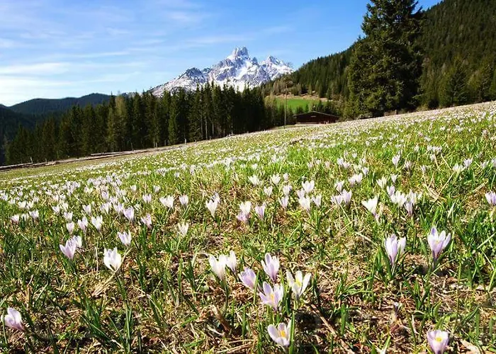 Haus Birkenheim Апартаменты
