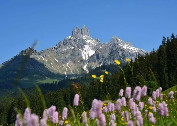 Haus Birkenheim شقة فيلزموس