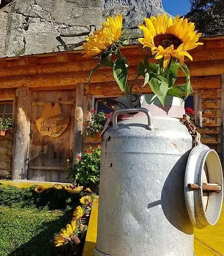 شقة Haus Birkenheim