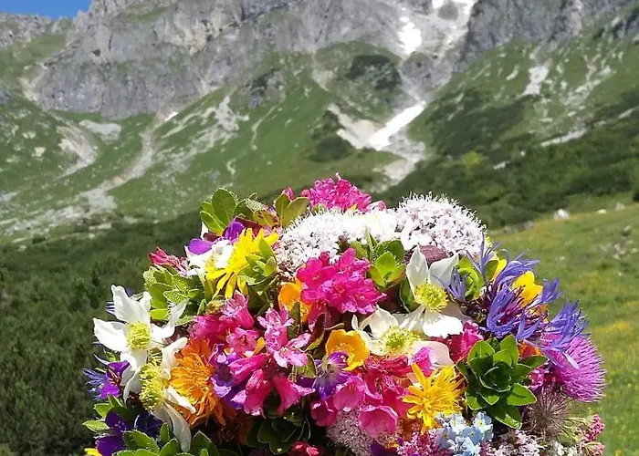 Haus Birkenheim Апартаменты *